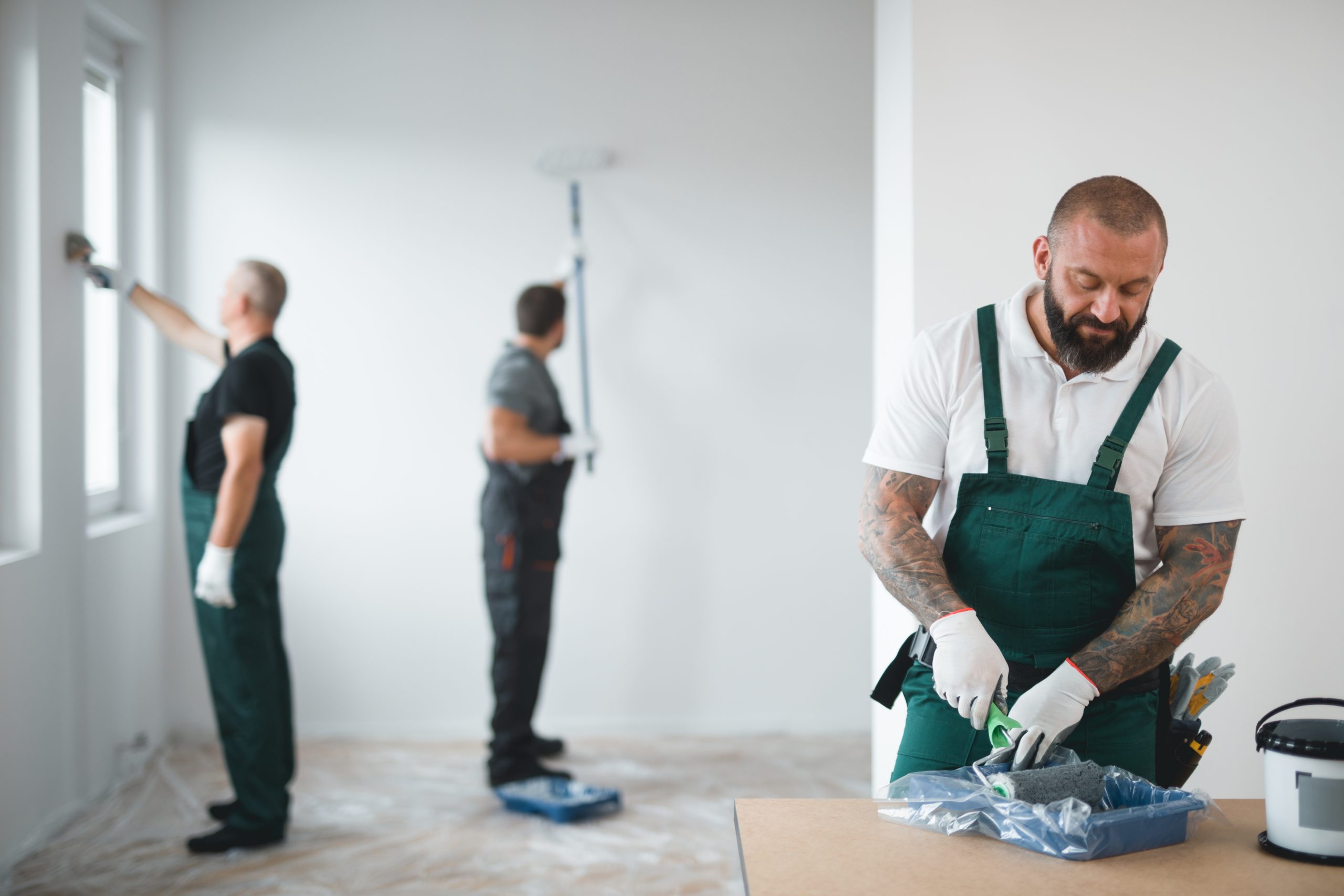 professional renovation services